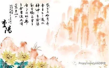 三五结合秋意浓是什么生肖请全面2释义、解释与落实、定量解答解释落实
